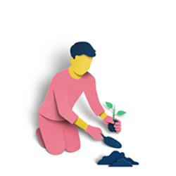 Person gardening